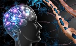 Ülkemizde yaklaşık 50 bin MS hastası var