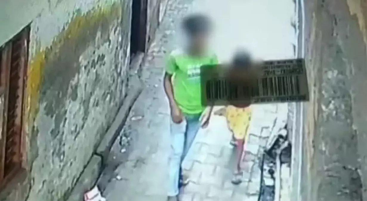 Maymunlar, tecavüzcüye saldırarak altı yaşındaki kızı tecavüz girişiminden kurtardı